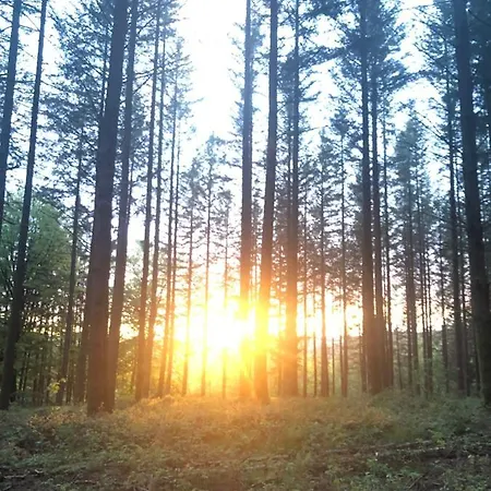 Apartament Les Caliciades 1 A Gros-Fays