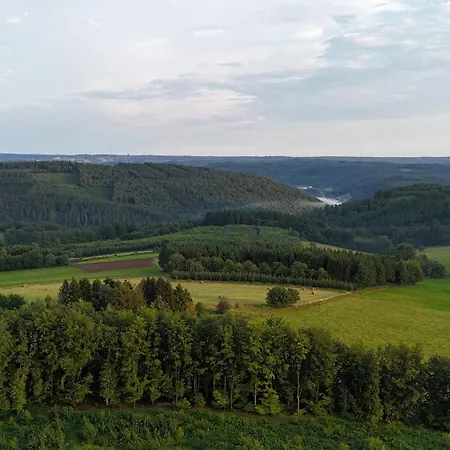 Les Caliciades 1 A *